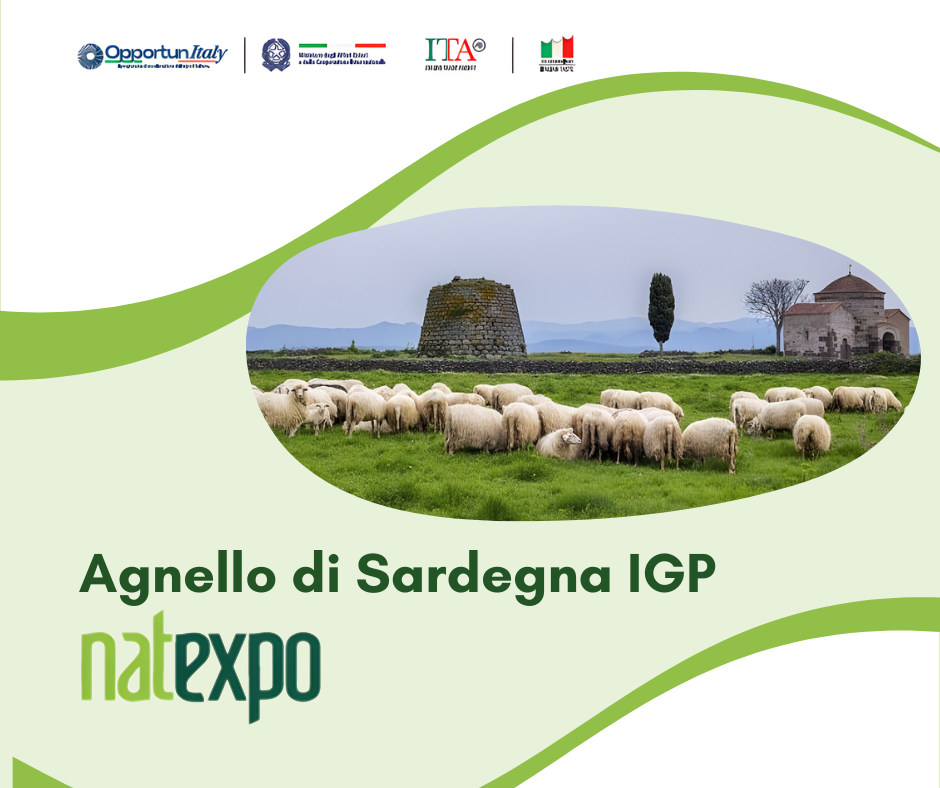 fiera natexpo